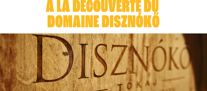 À la découverte du Domaine Disznókő !